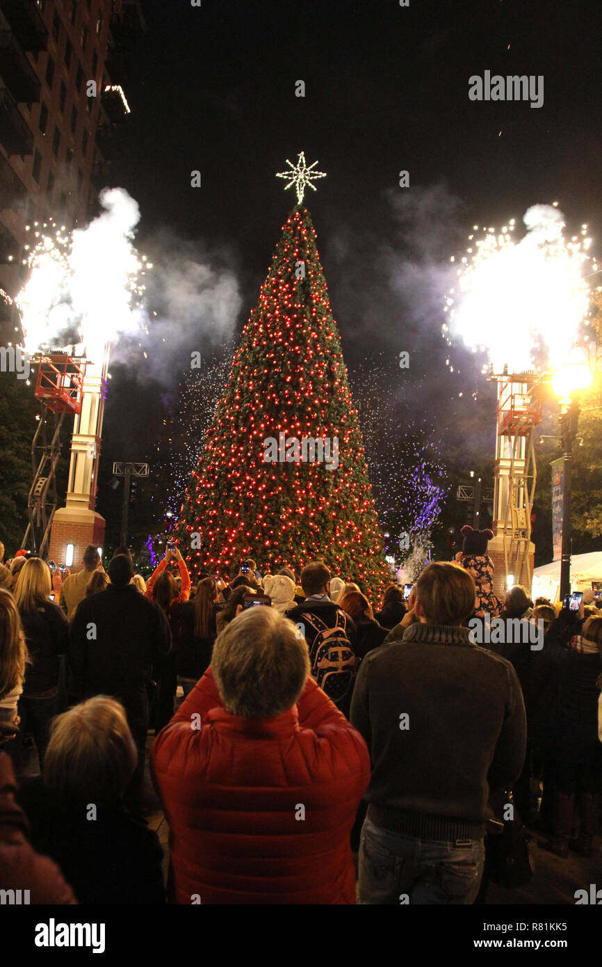 The Living Christmas Tree 2024 Knoxville Doti Kendra