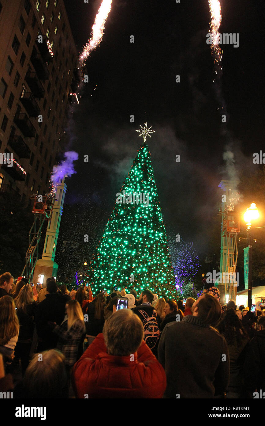 The lighting of the Christmas tree in downtown Knoxville, TN Stock Photo -  Alamy
