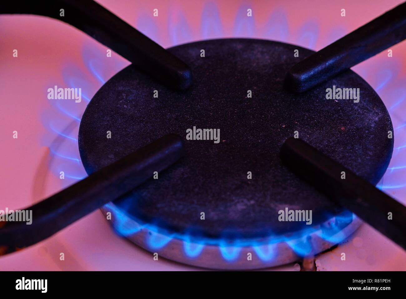A blue flame from a gas cooktop burner. Stove turbo burner with burning