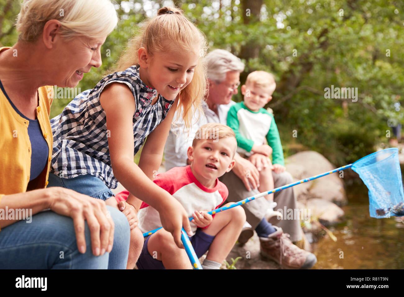 Grandparents With Grandchildren Fishing With Nets In River In UK Lake District Stock Photo