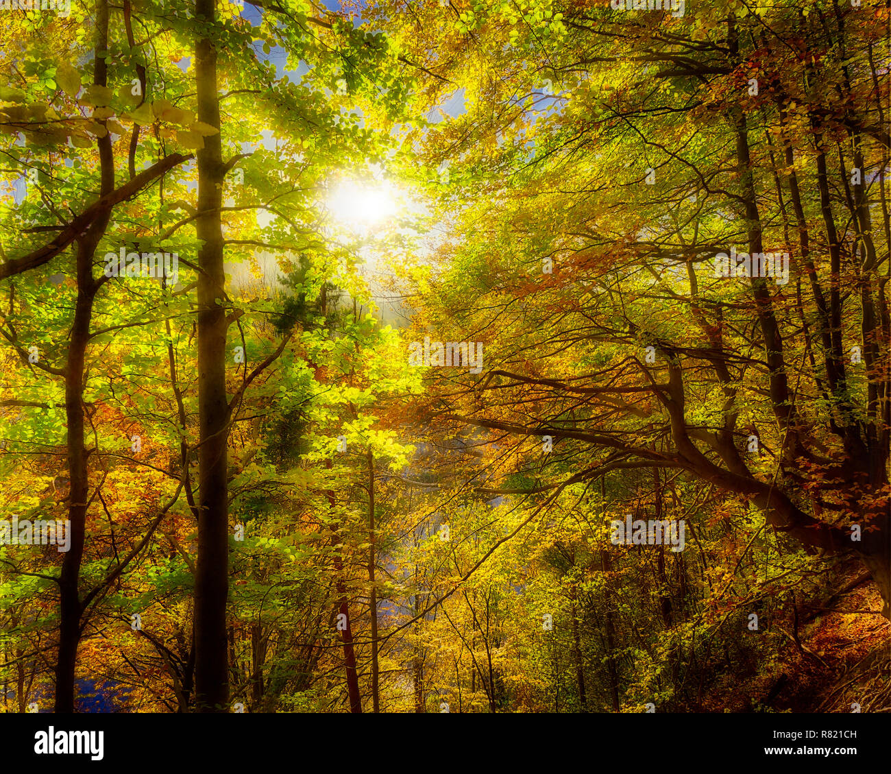 DE - BAVARIA: Autumnal Kalvarienberg Forest at Bad Toelz (HDR-image) Stock Photo