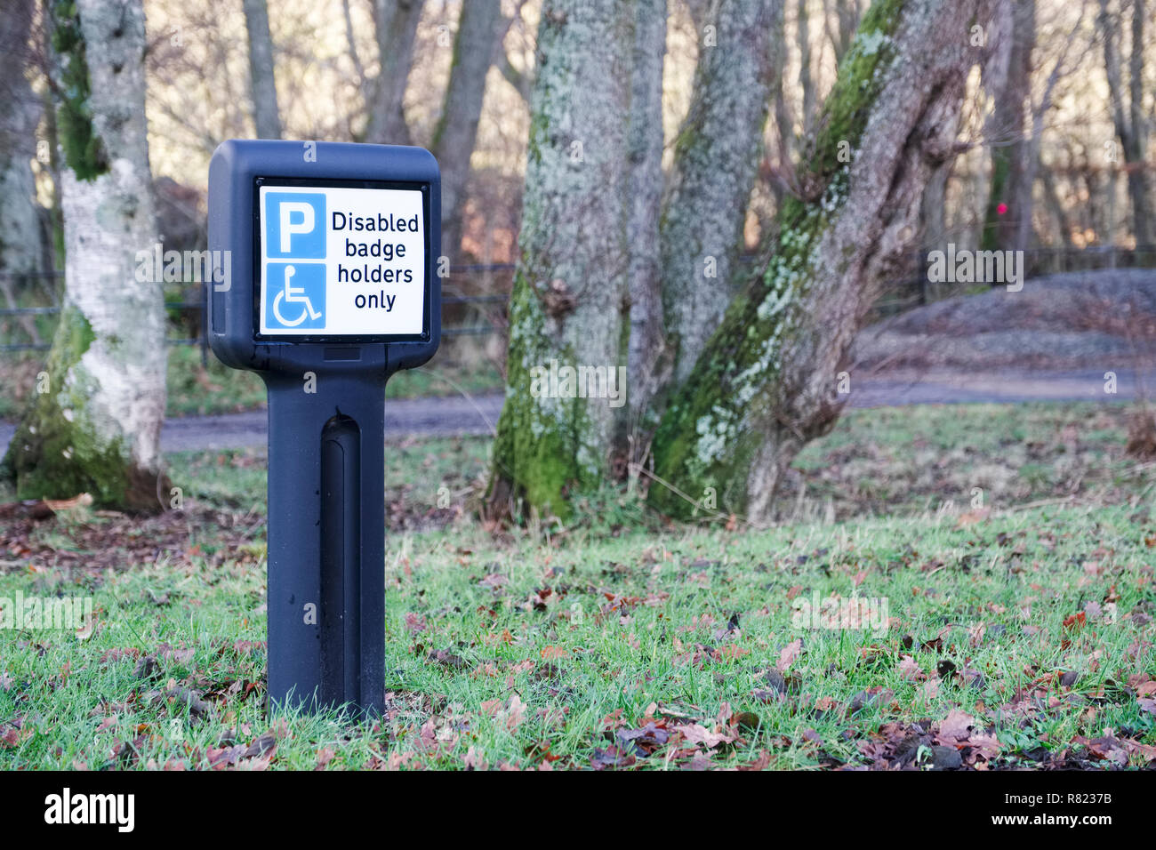 Disabled car park space symbol badge holders Stock Photo Alamy