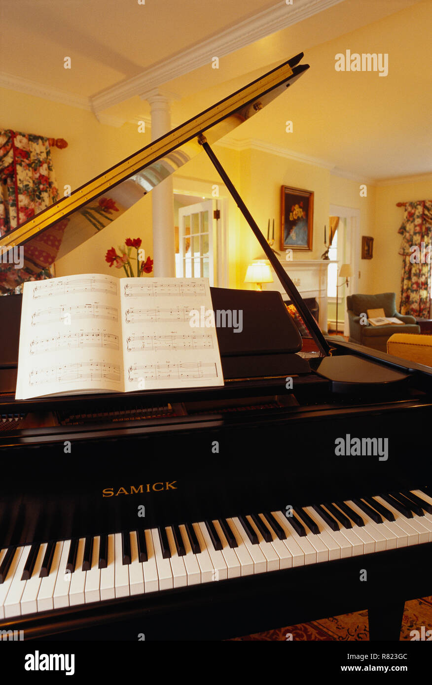 Living room Interior with a grand piano, USA Stock Photo - Alamy