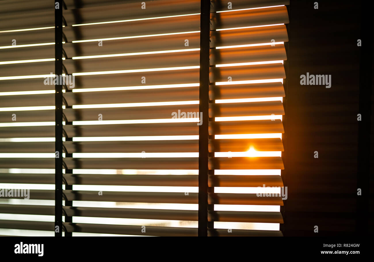 Plastic window blinds discount
