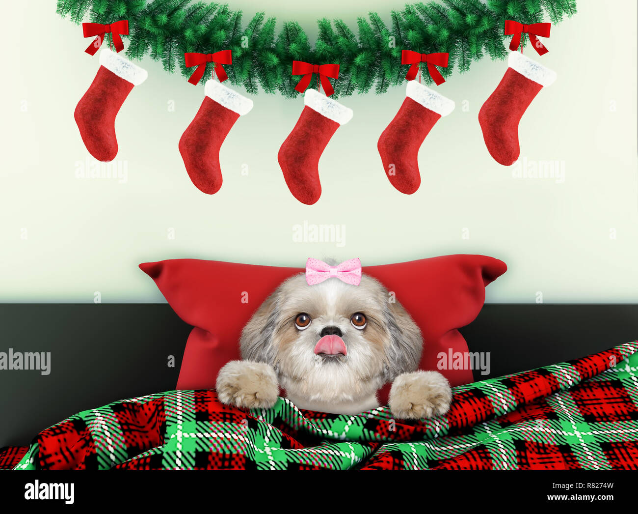 Decorated for new year living room with girl dog wearing santa costume Stock Photo