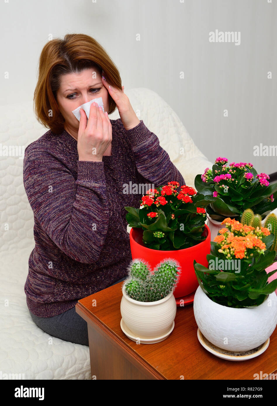 Woman with allergic rhinitis from indoor plants Stock Photo Alamy