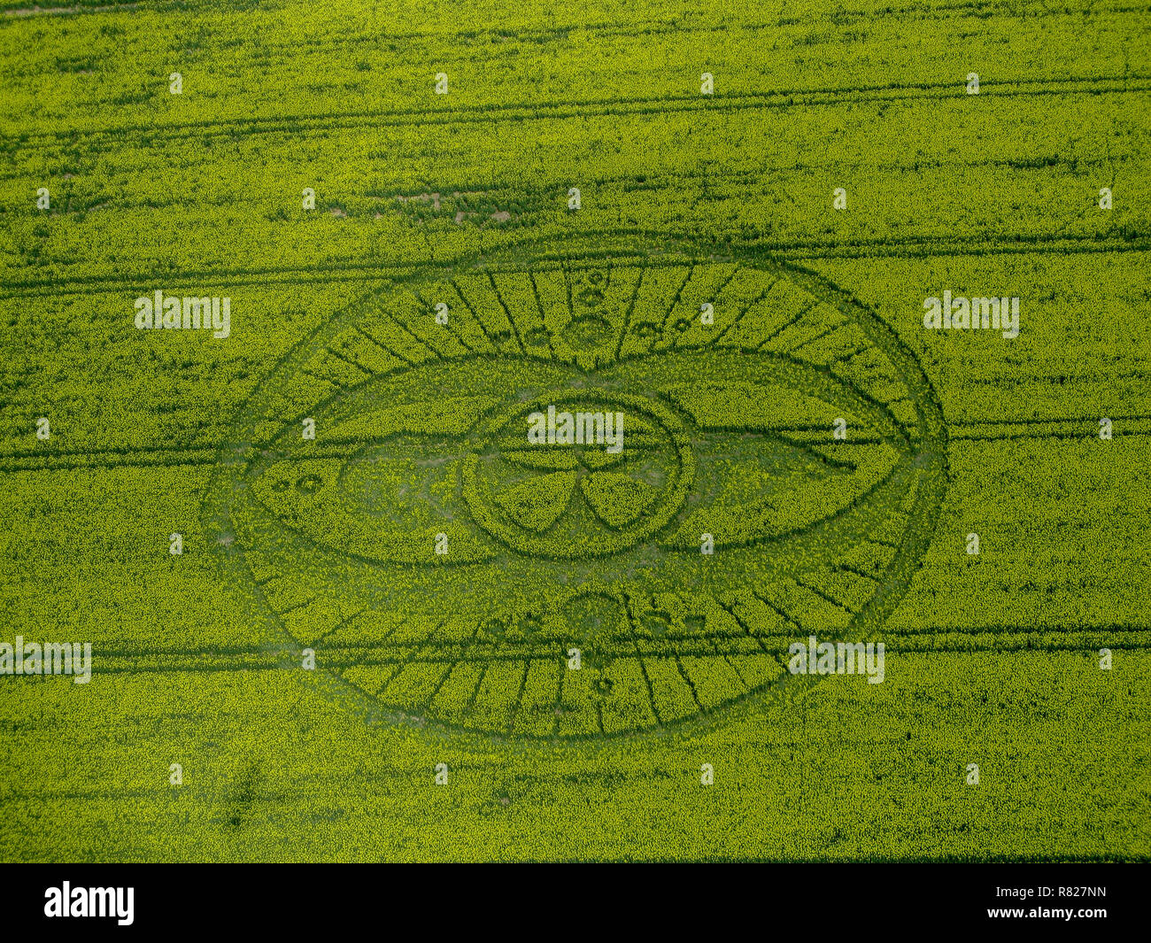 Alien Crop Circle Message Stock Photo