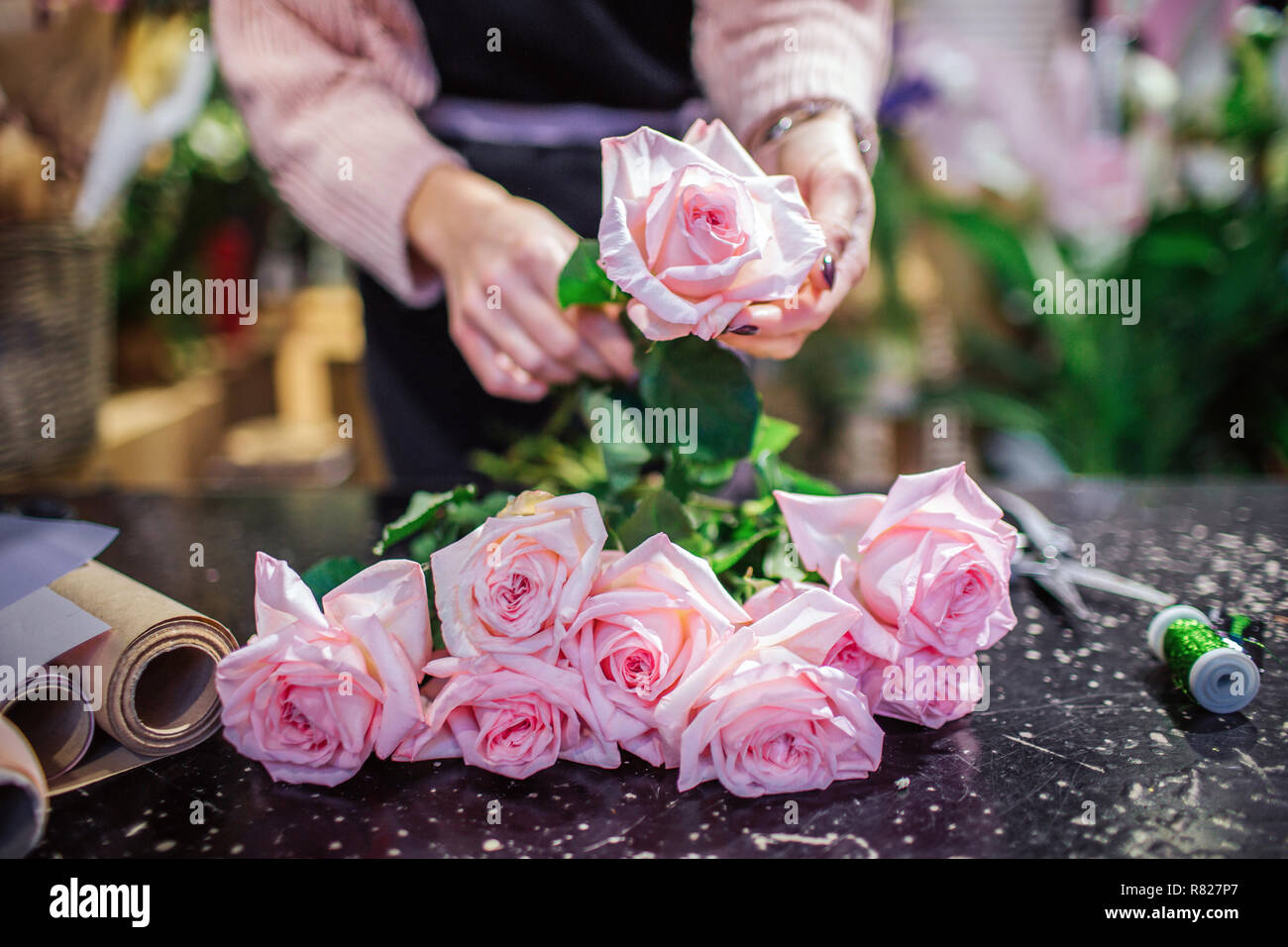 Close of beautfiul light pink roses lying on table. Florist hold one flower in hand. Paper rolld and coil with green thread are on table. Stock Photo