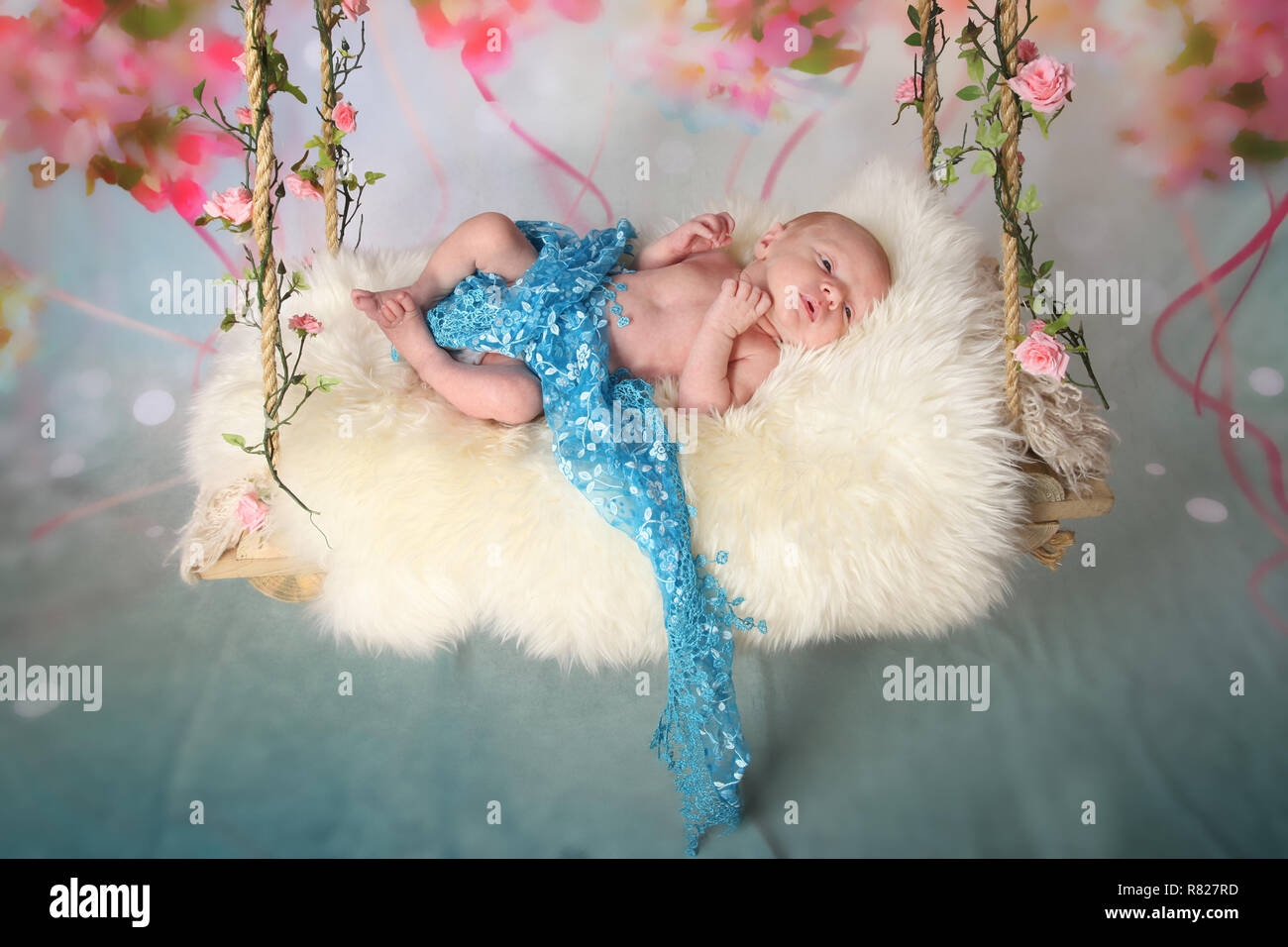 new born baby boy on a swing bed Stock Photo Alamy