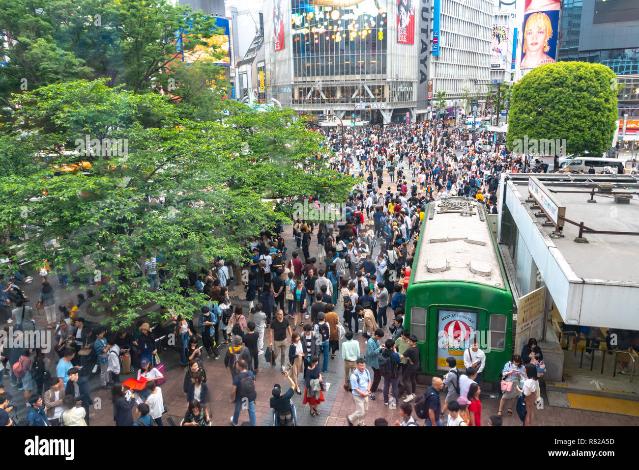 Pedestrians crosswalk at Shibuya district in Tokyo, Japan. Shibuya ...