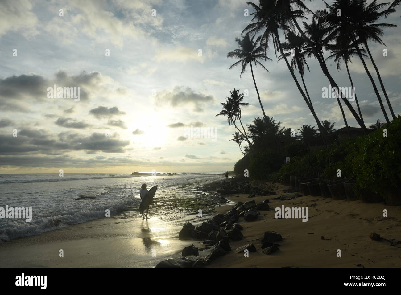 sunset on coconut plantation, gurubebila beach, Midigama, Sri Lanka
