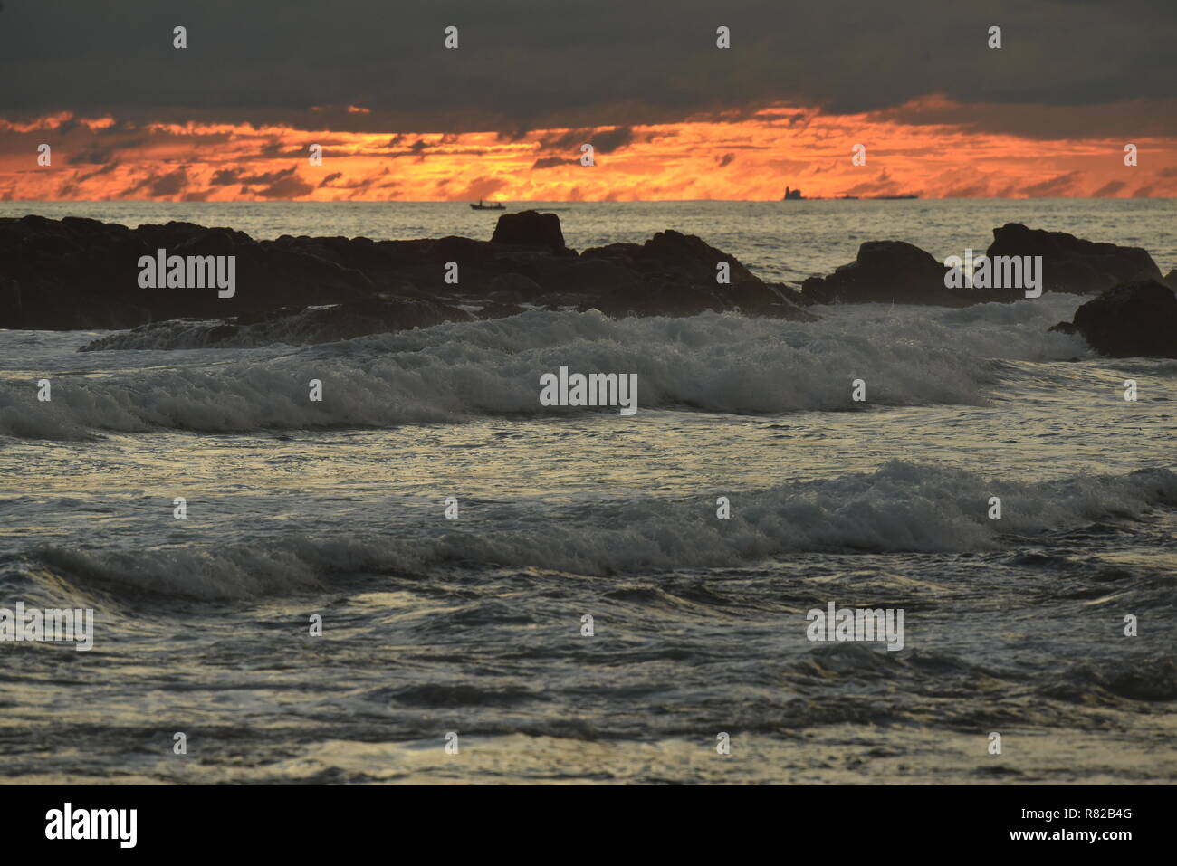 sunset on coconut plantation, gurubebila beach, Midigama, Sri Lanka