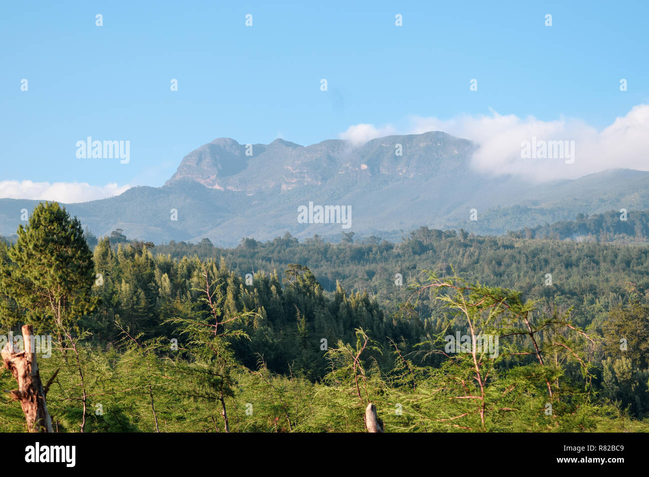 Mountain against a clear sky, Elephant Hill, Aberdare Ranges, KENYA