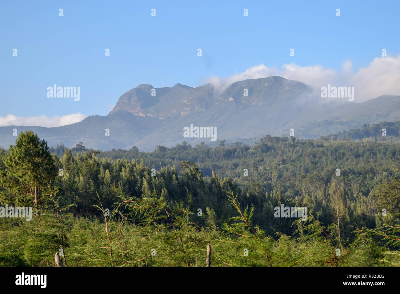 Mountain against a clear sky, Elephant Hill, Aberdare Ranges, KENYA