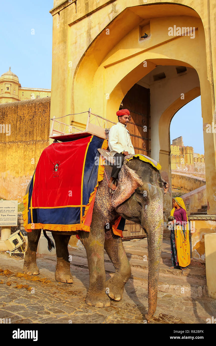 Decorated elephant going on the cobblestone path from Amber Fort near ...