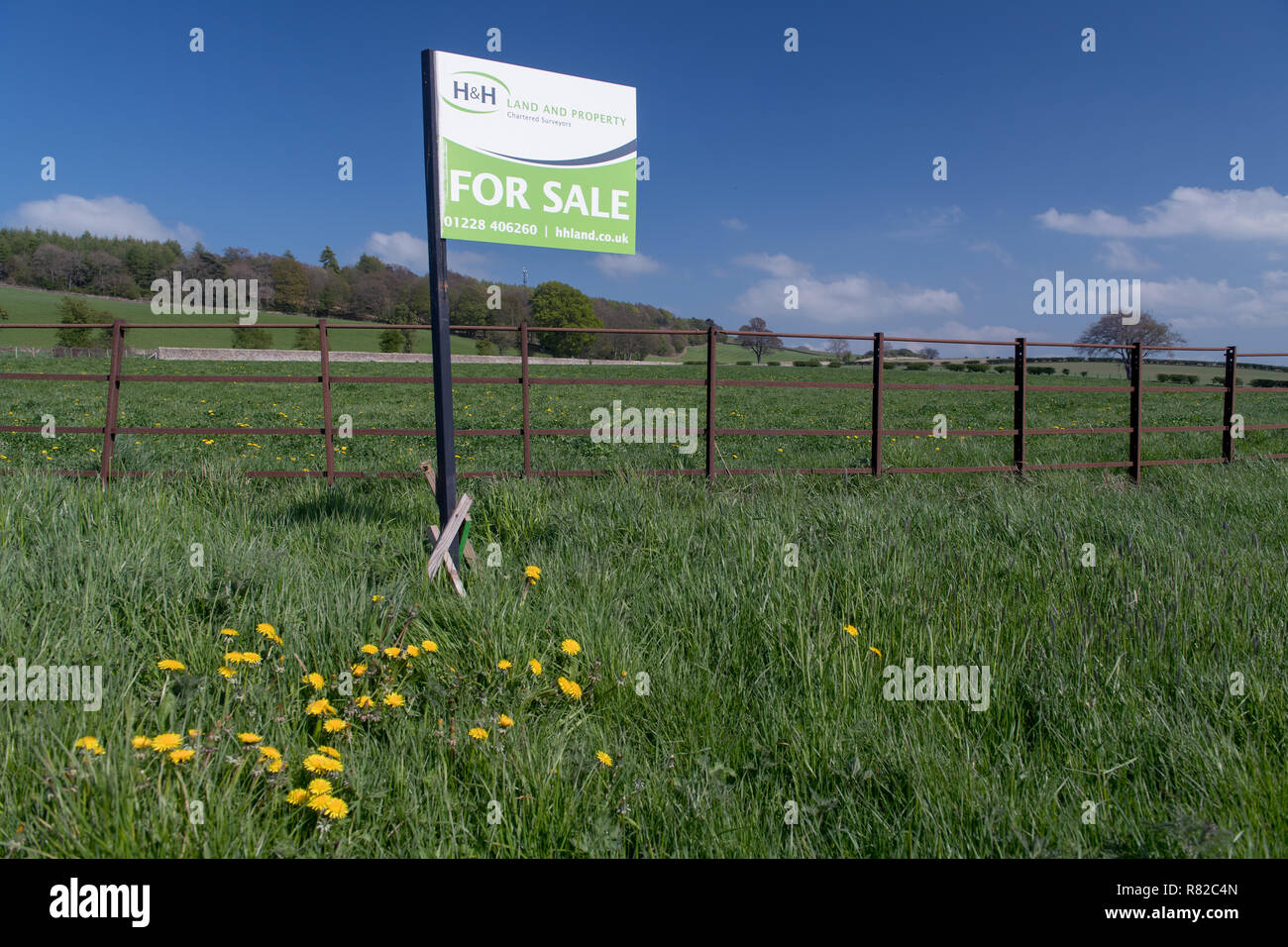 Farmland for sale, Cumbria, UK Stock Photo Alamy