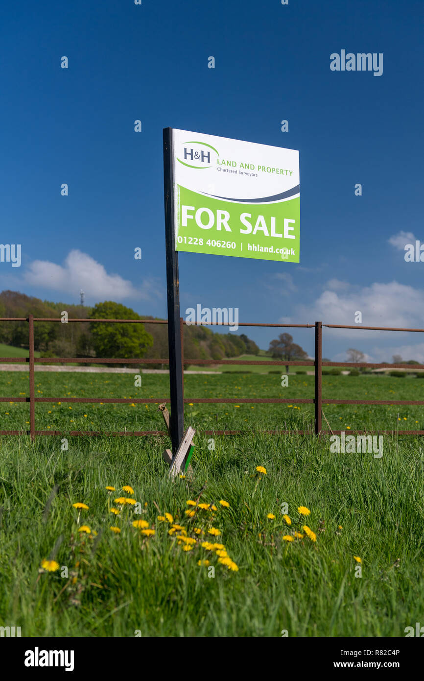 Farmland for sale, Cumbria, UK Stock Photo Alamy