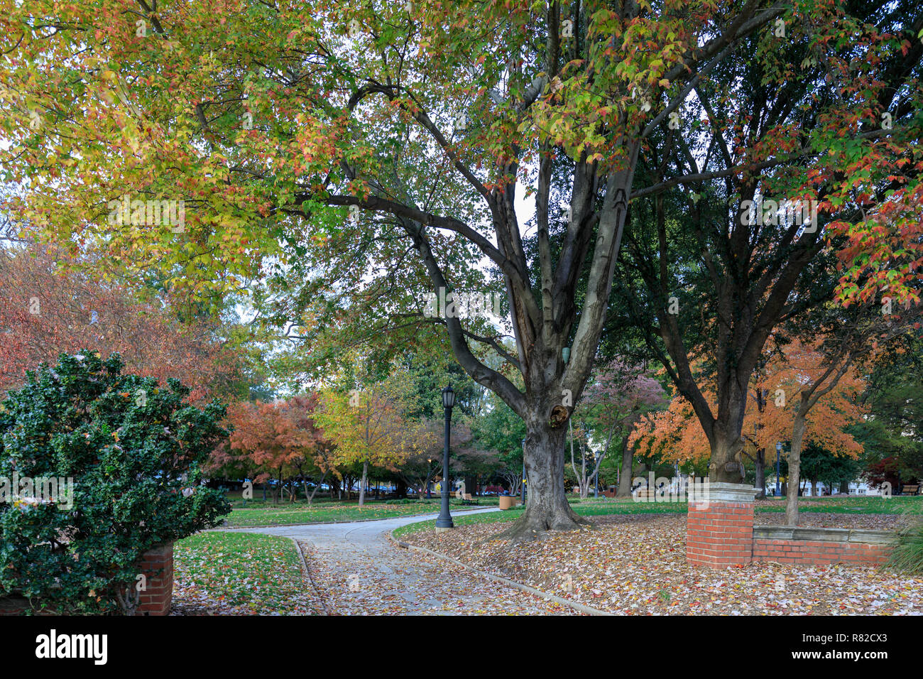 Nash square in downtown Raleigh, NC, US Stock Photo - Alamy