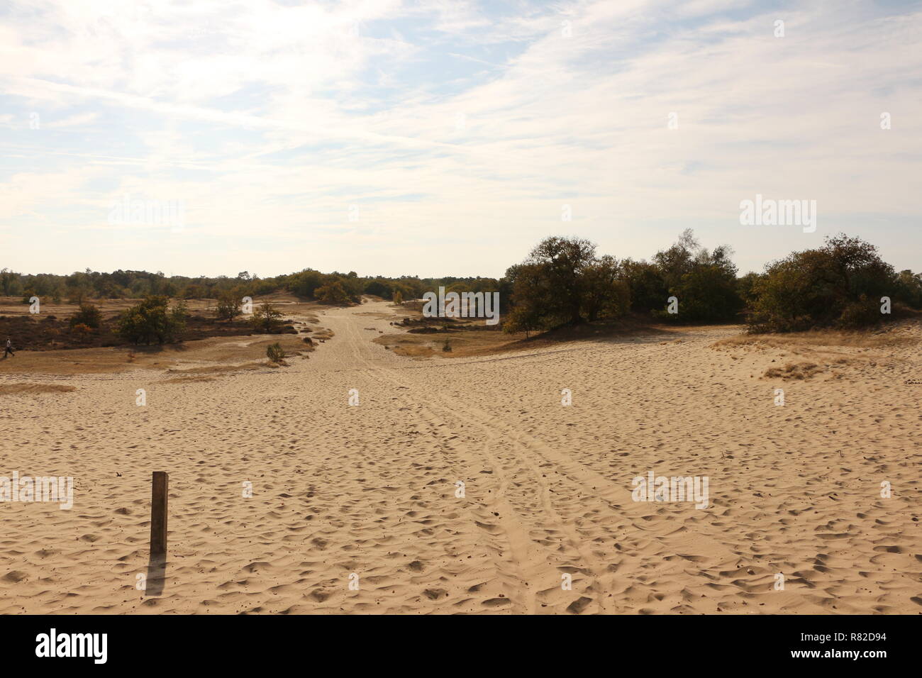 Im Nationalpark Drunense Duinen in Nordbrabant in Holland Stock Photo