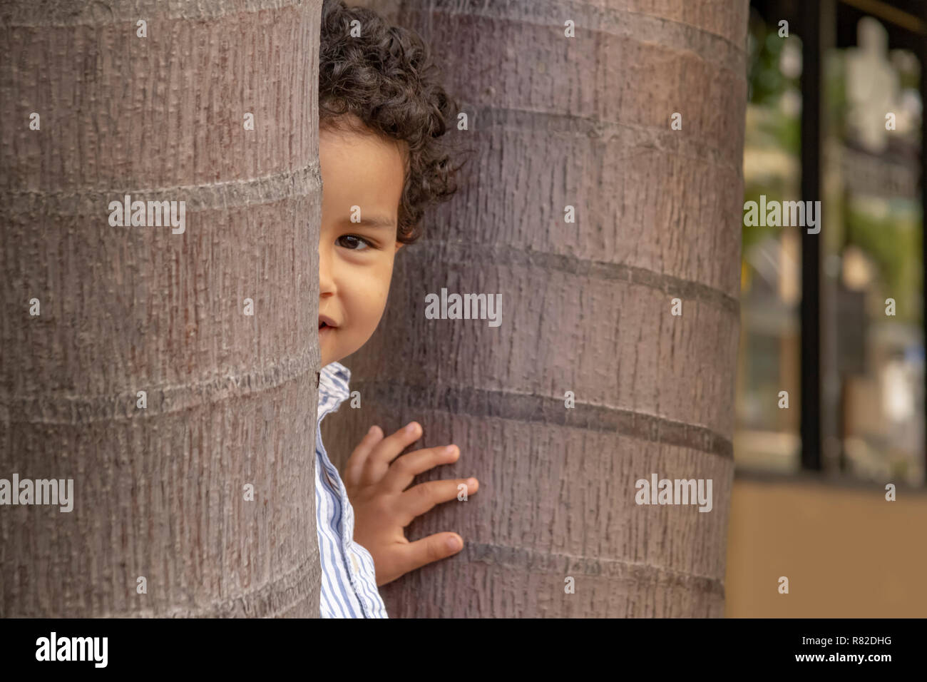 In between two trees on the street sidewalk, a little boy peeks at the camera. Showing one eye while hiding behind the tree with a pleasant smile. Stock Photo