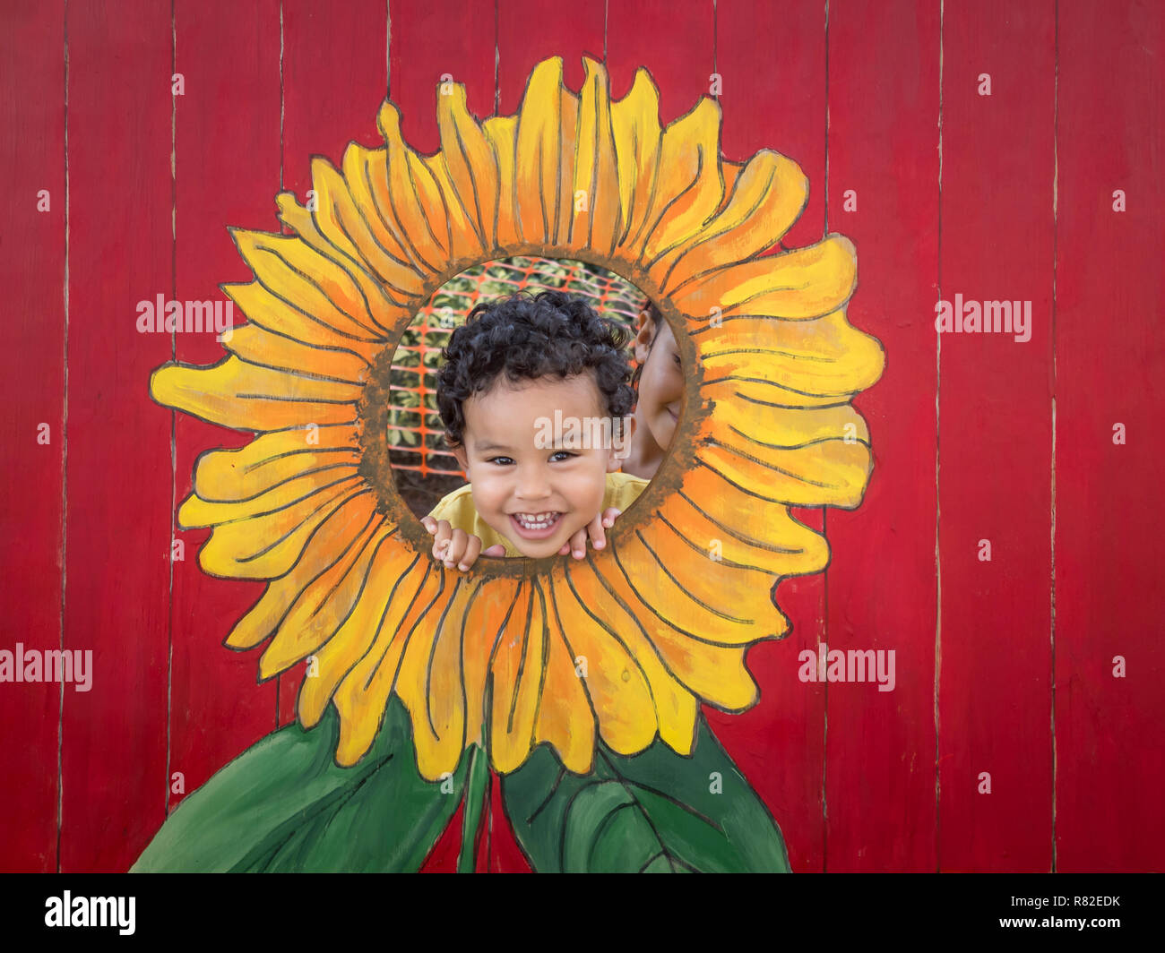 A happy boy looks out of a sunflower cutout. A happy boy sticks his head out of a sunflower cutout for a photo while his sister holds him from behind. Stock Photo