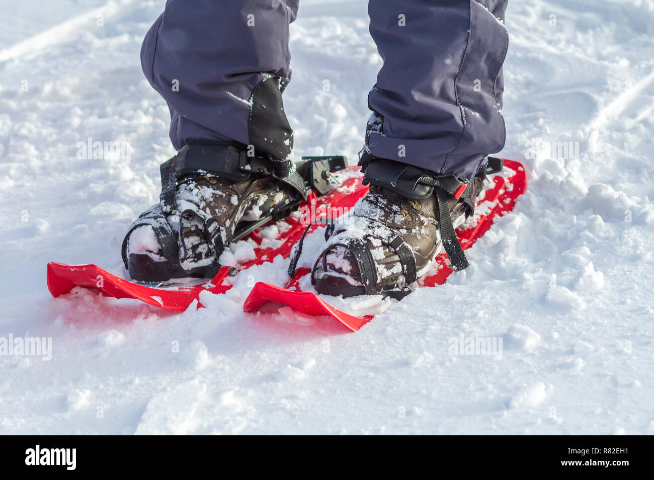Close-up of man skier feet and legs in short plastic bright professional  wide skis on white snow sunny copy space background. Active lifestyle,  winter Stock Photo - Alamy