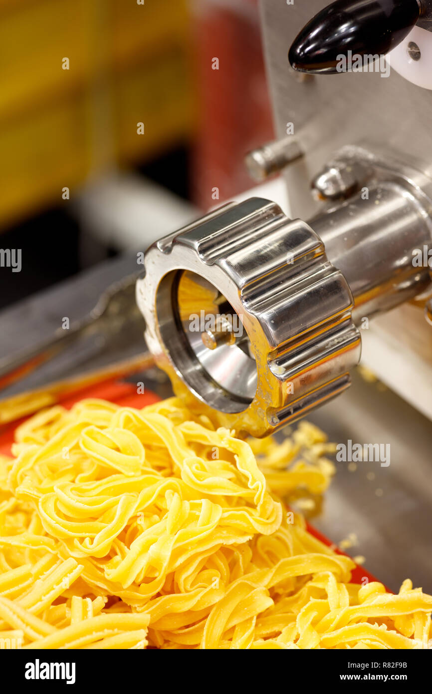 Fresh Conchiglie Macaroni Spaghetti Pasta Making Machine Maker Bucatini  Tagliatelle Fusilli Macaroni Noodle Pasta Making Machine