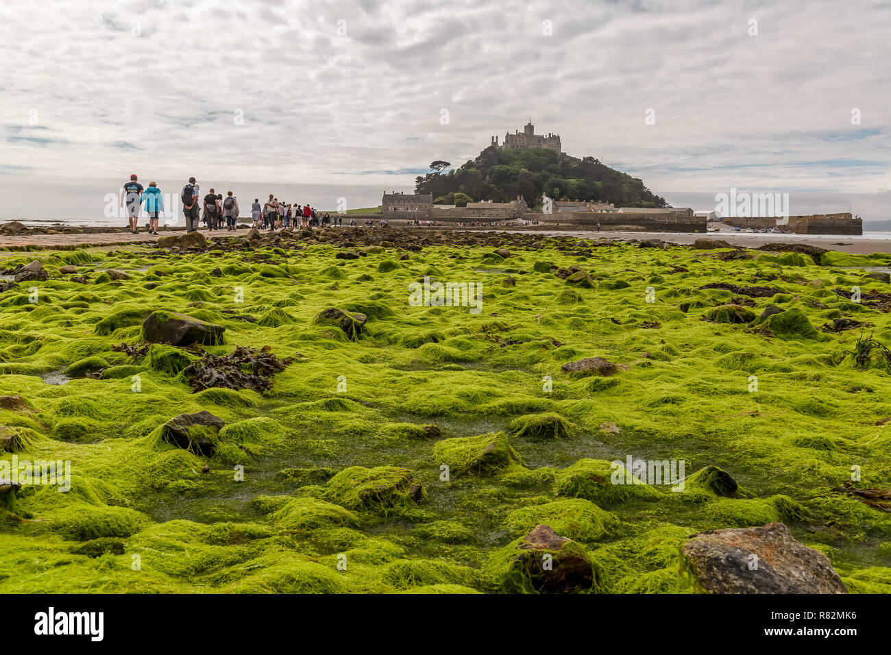 Tourists Crossing The Causeway To St Michael s Mount In Cornwall tourists-crossing-the-causeway-to-st-michael-s-mount-in-cornwall