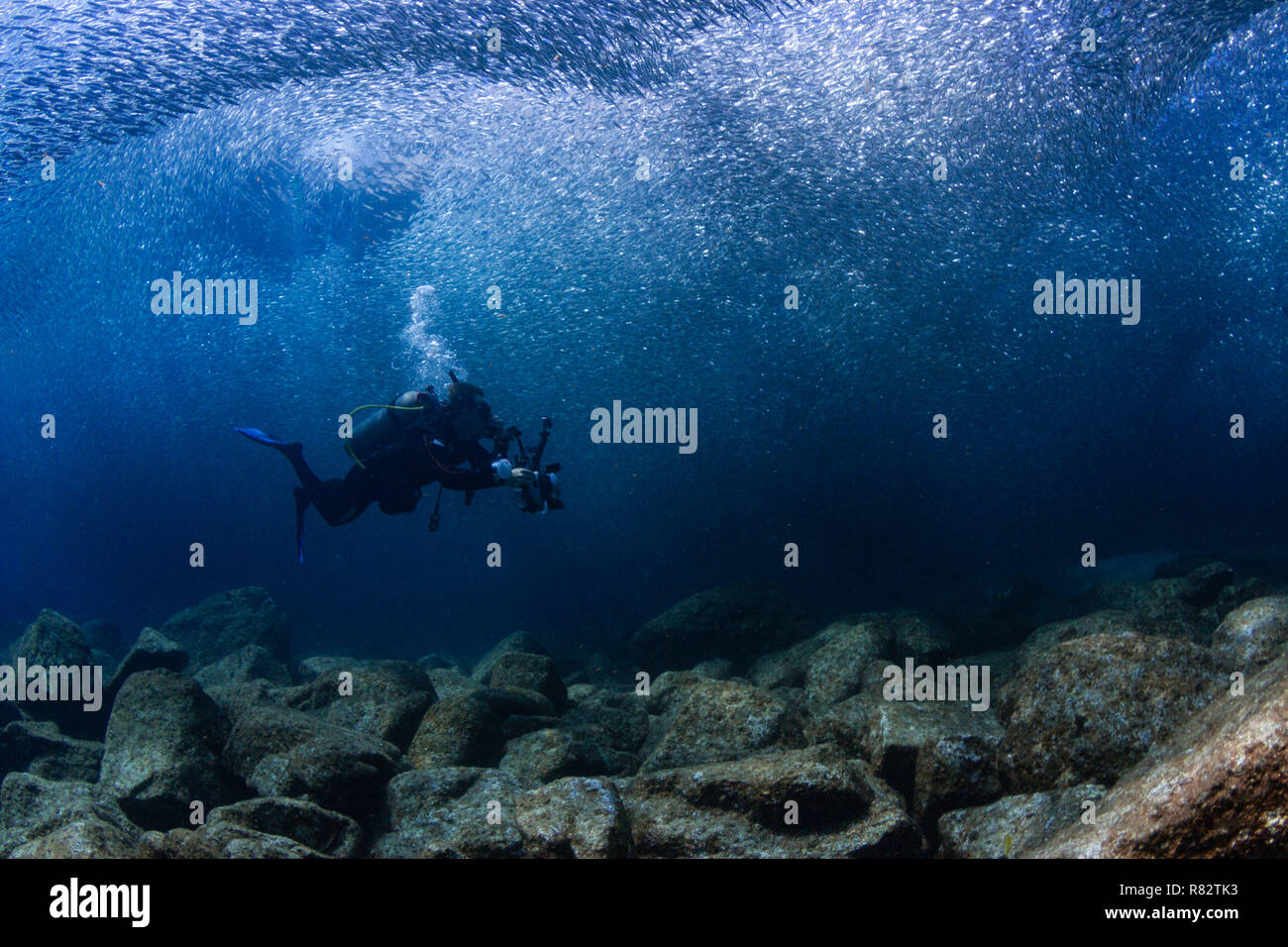 Sardine rock hi-res stock photography and images - Alamy