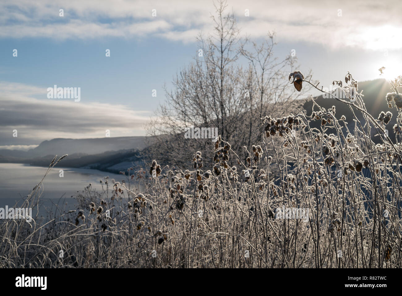 Frosted winter landscape in cold temperature with ice and hoar frost on lake, rime on crisp, frozen leaves and mountains in the horizon at sunset Stock Photo