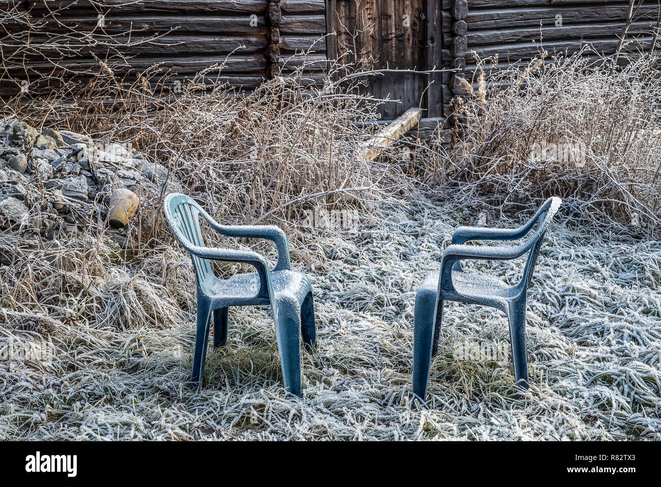 Two blue plastic chairs with frozen rime in a rural garden with rustic farm house and grass covered in ice cold hoar frost an early winter morning Stock Photo