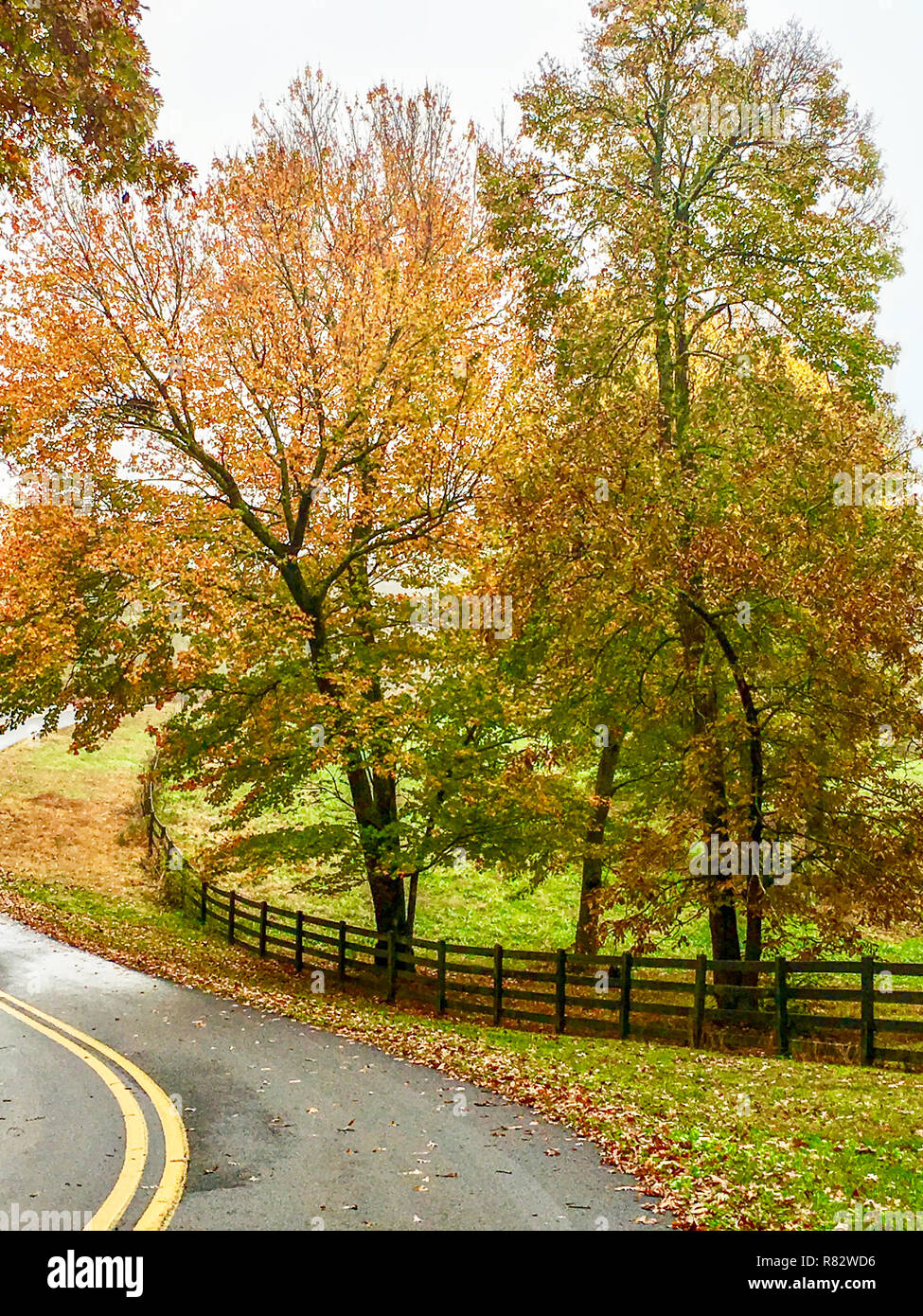 Autumn Landscape Road and Fenced Pasture Stock Photo