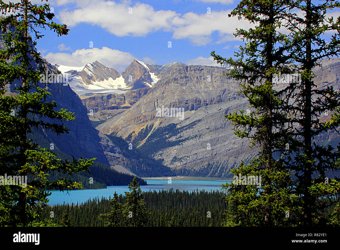 Visit Banff National Park, Alberta , Canada, Hector Lake Stock Photo