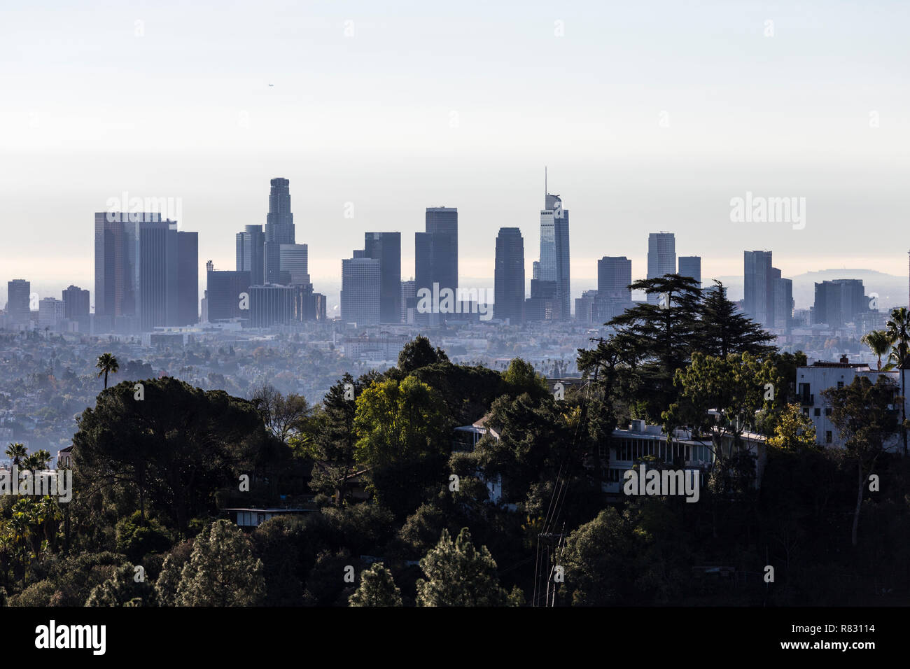 Morning view of tree covered hilltop and downtown Los Angeles from popular Griffith Park near Hollywood California. Stock Photo