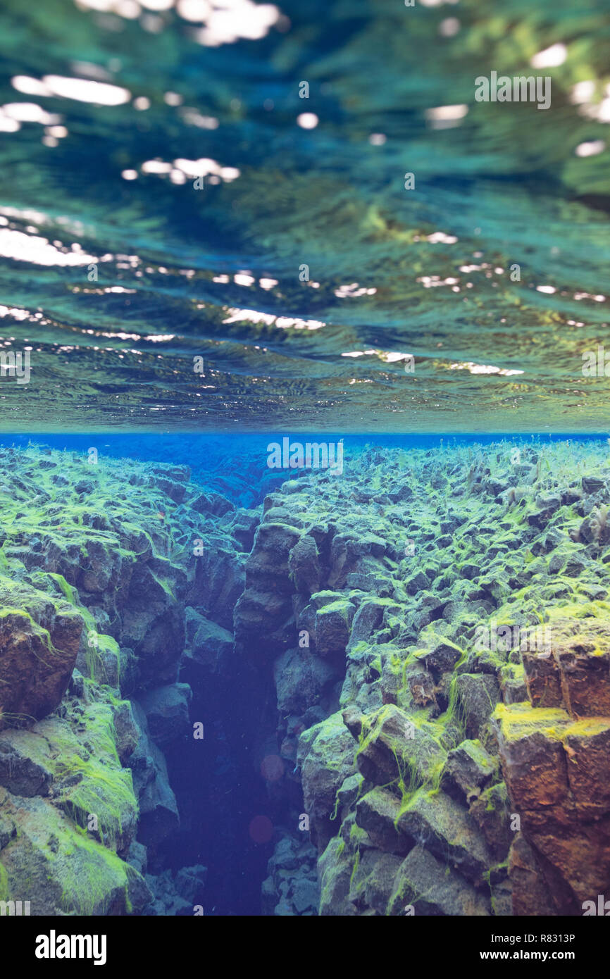 Underwater, Silfra, Thingvellir National Park, Iceland Stock Photo