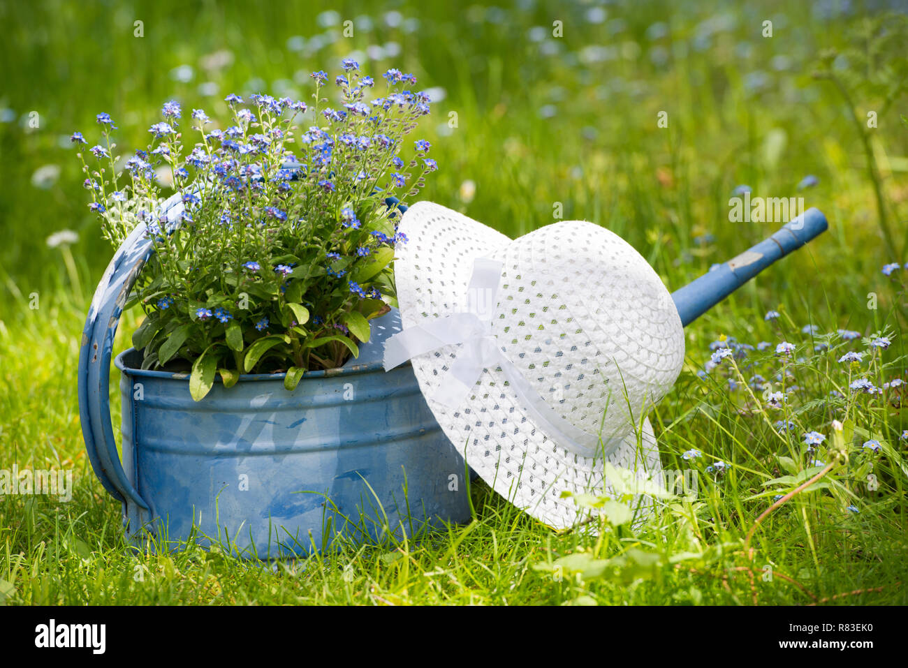 Old watering can with hat Stock Photo