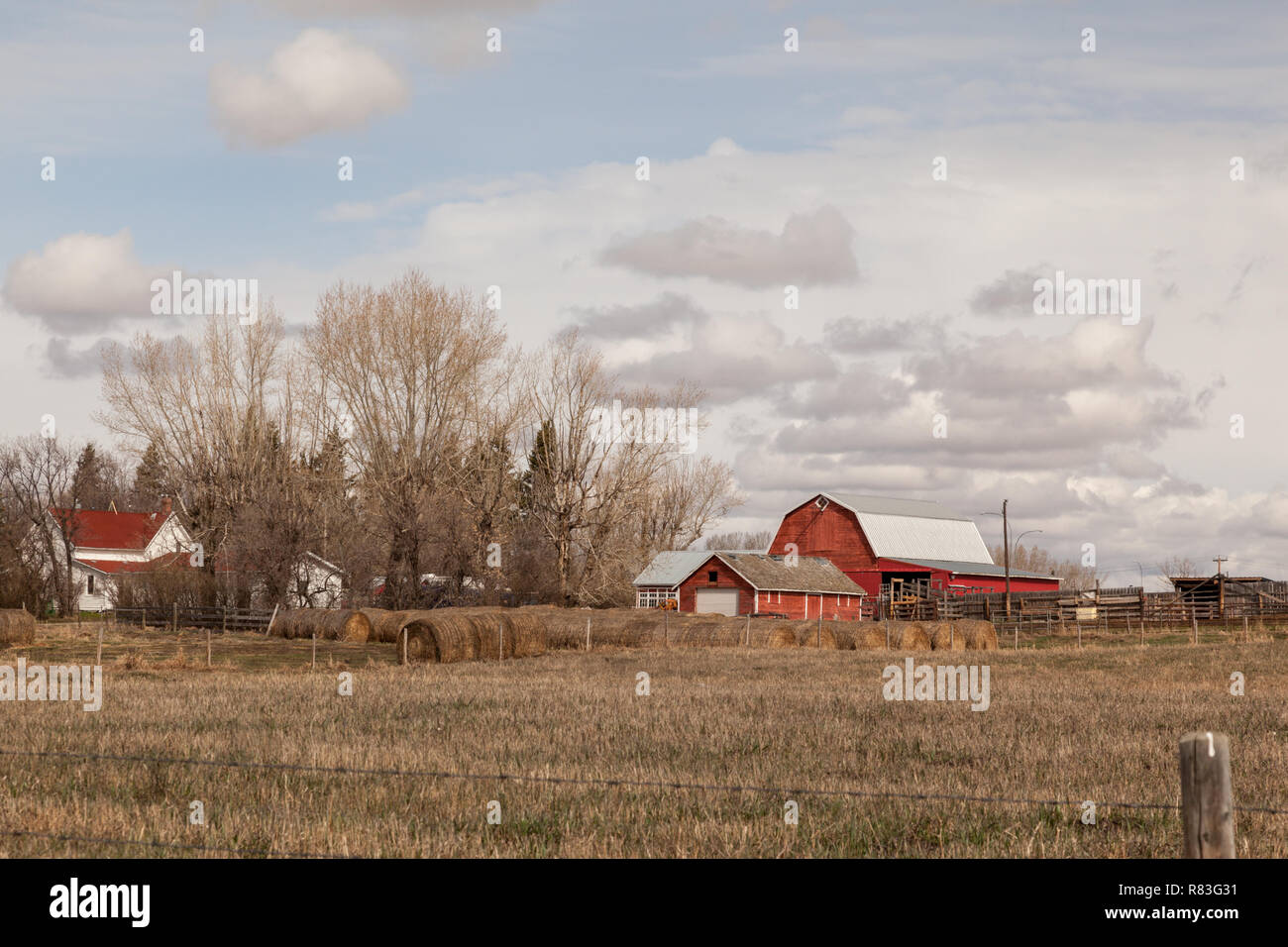 Country Living Farmland Alberta View Of A House And A Red Barn And