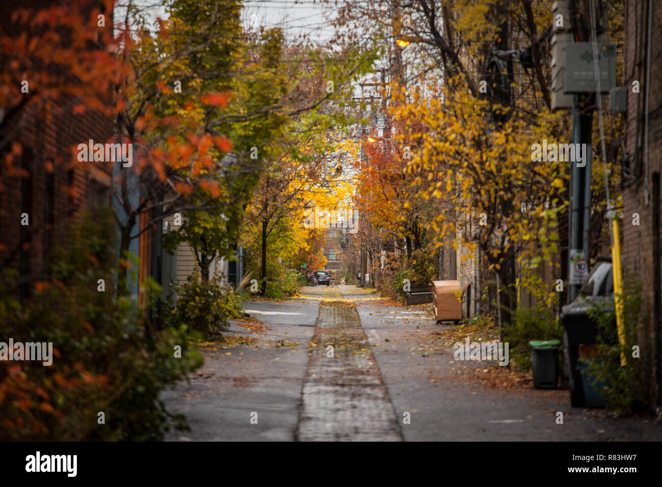 MONTREAL, CANADA - NOVEMBER 6, 2018: Dilapidated typical north American residential street in autumn in Montreal, Quebec, during a rainy day, red and  Stock Photo