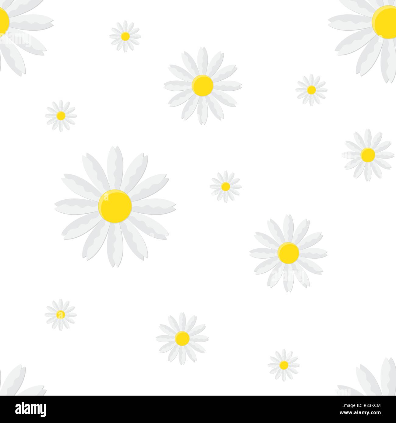 Seamless floral pattern with isolated chamomile. Vector illustration ...