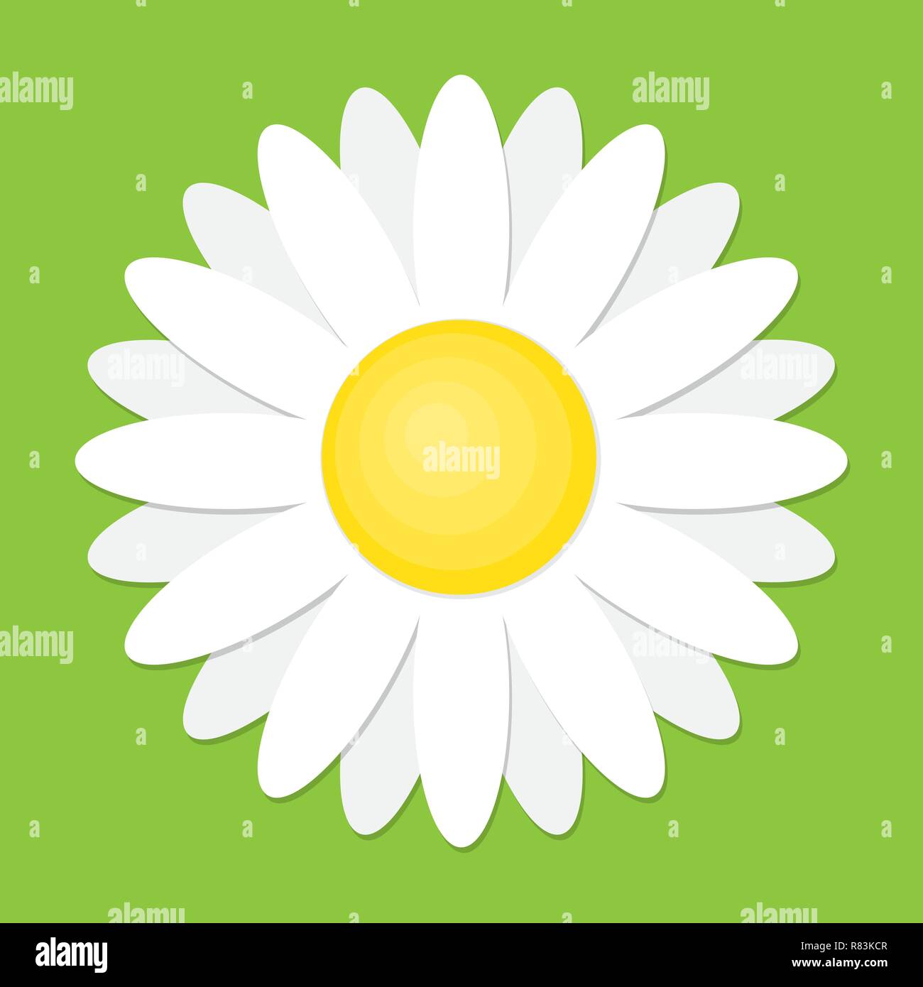 Daisy illustration Stock Vector Images - Alamy
