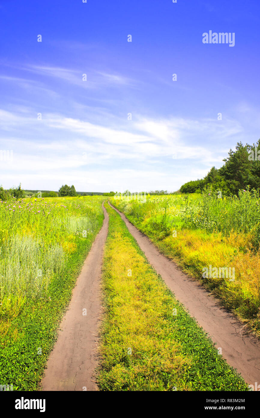 Rural summer landscape with old road Stock Photo - Alamy