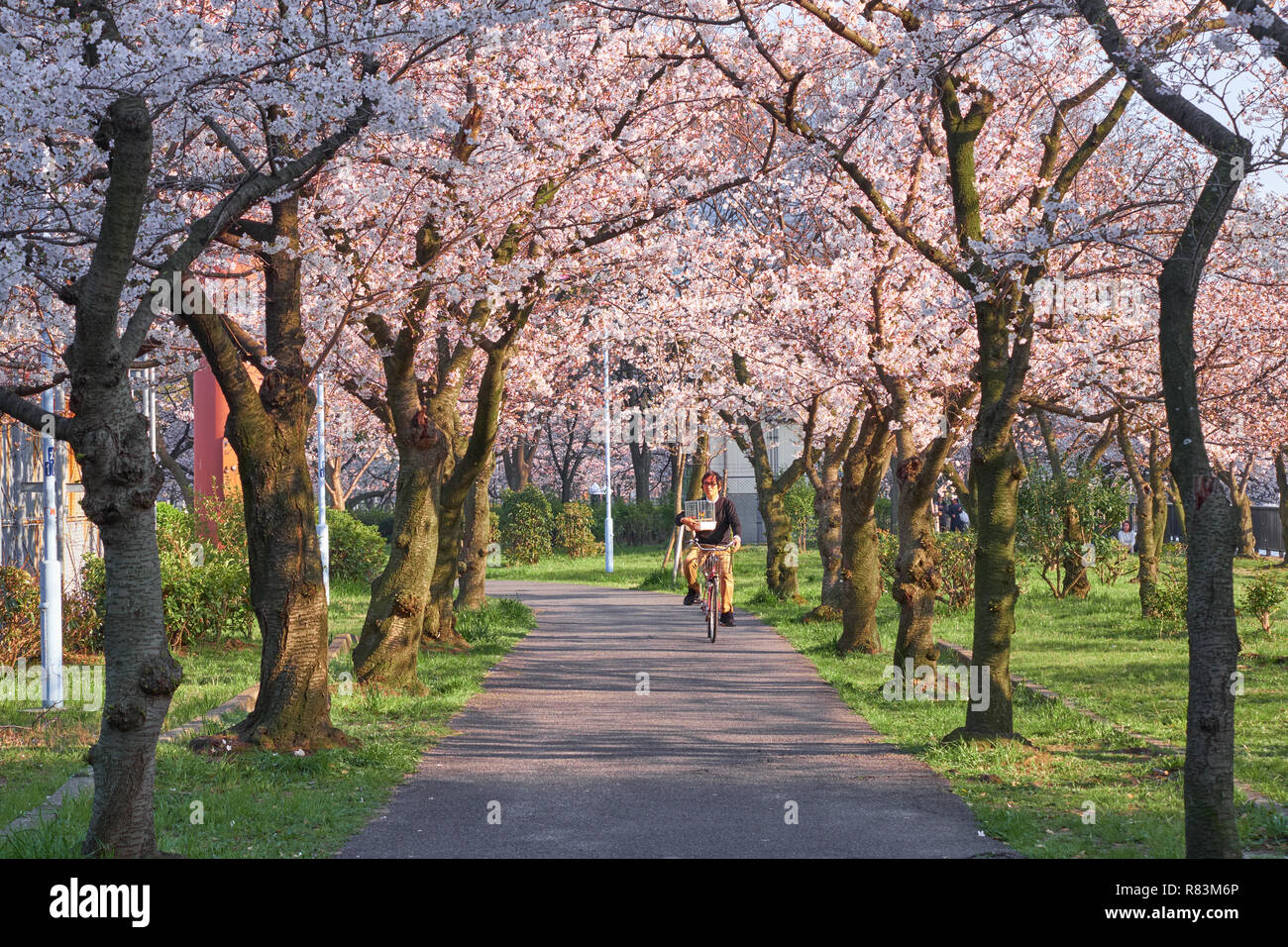Japanese surrealism hi-res stock photography and images - Alamy
