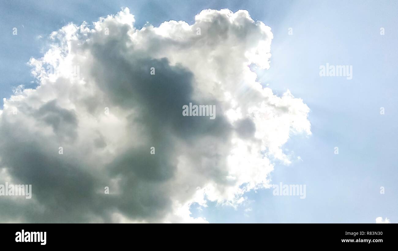 cumulus clouds like fluffy, white cotton balls on the blue sky