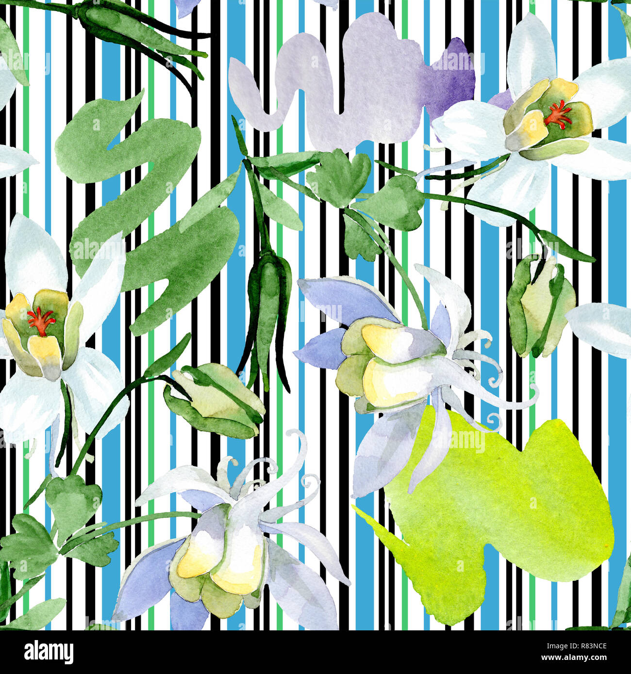 White aquilegial. Floral botanical flower. Wild spring leaf. Seamless ...