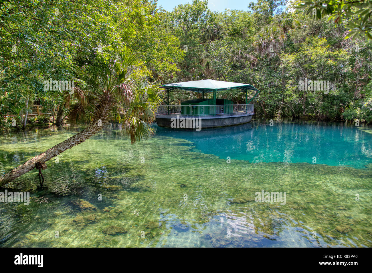 MAY 22, 2013, ELLIE SCHILLER HOMOSASSA SPRINGS, FL: The Fish Bowl observatory at this Florida state park lets guests see underwater wildlife. Stock Photo