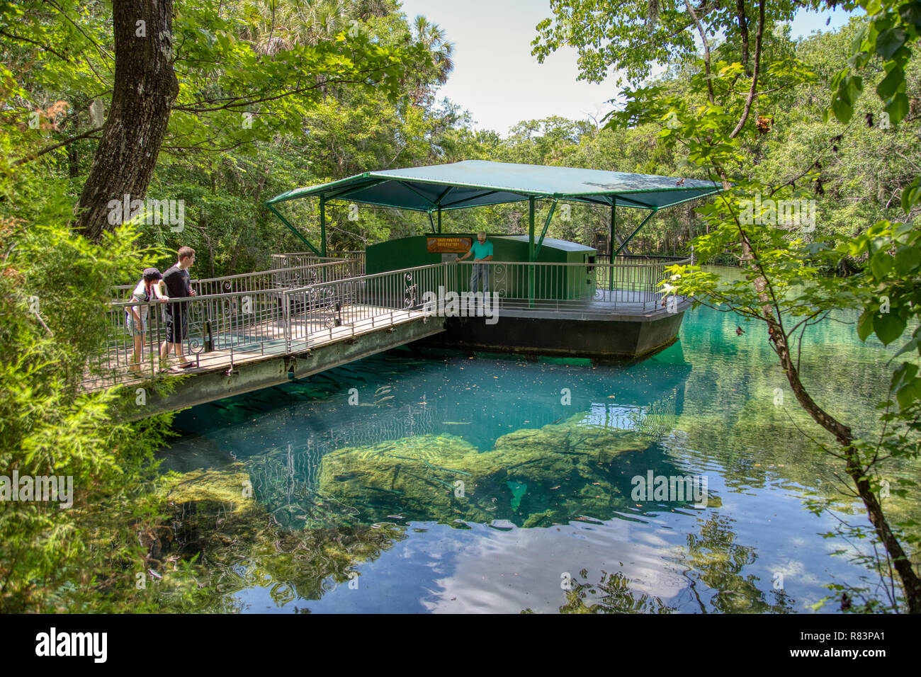 MAY 22, 2013, ELLIE SCHILLER HOMOSASSA SPRINGS, FL: The Fish Bowl observatory at this Florida state park lets guests see underwater wildlife. Stock Photo