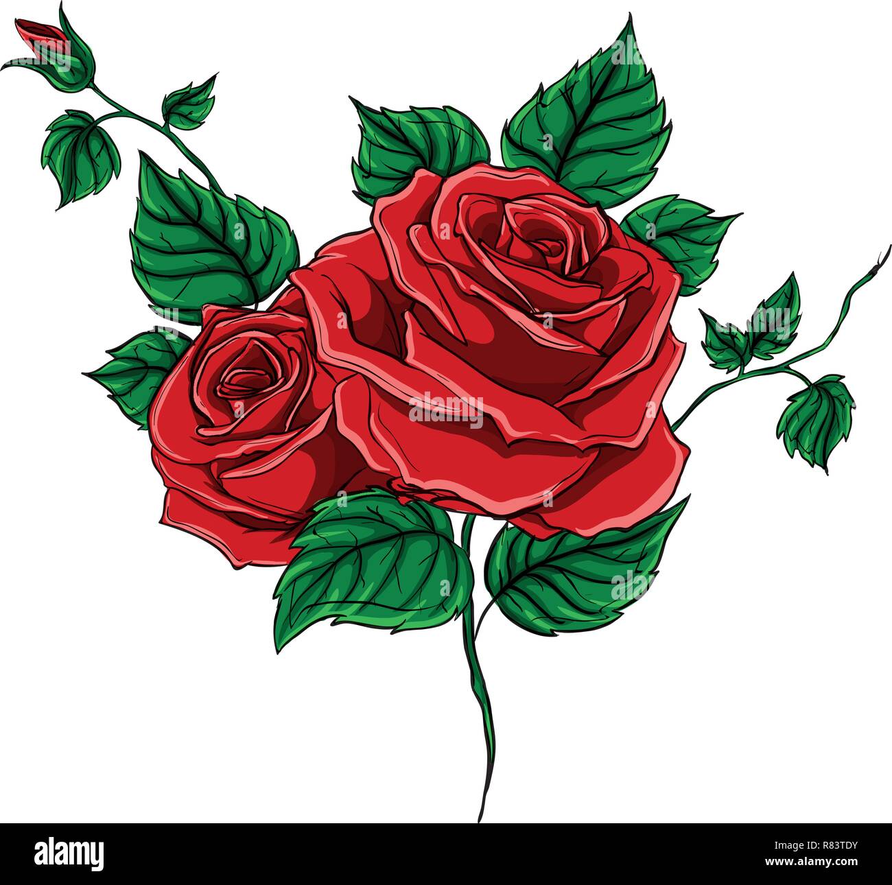 vector illustration beautiful bouquet with red roses and leaves. Floral arrangement. Stock Vector