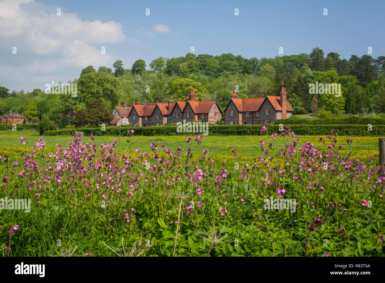 Traditional brick and flint cottages at Hambleden, Buckinghamshire with pink wild flowers in the foreground Stock Photo