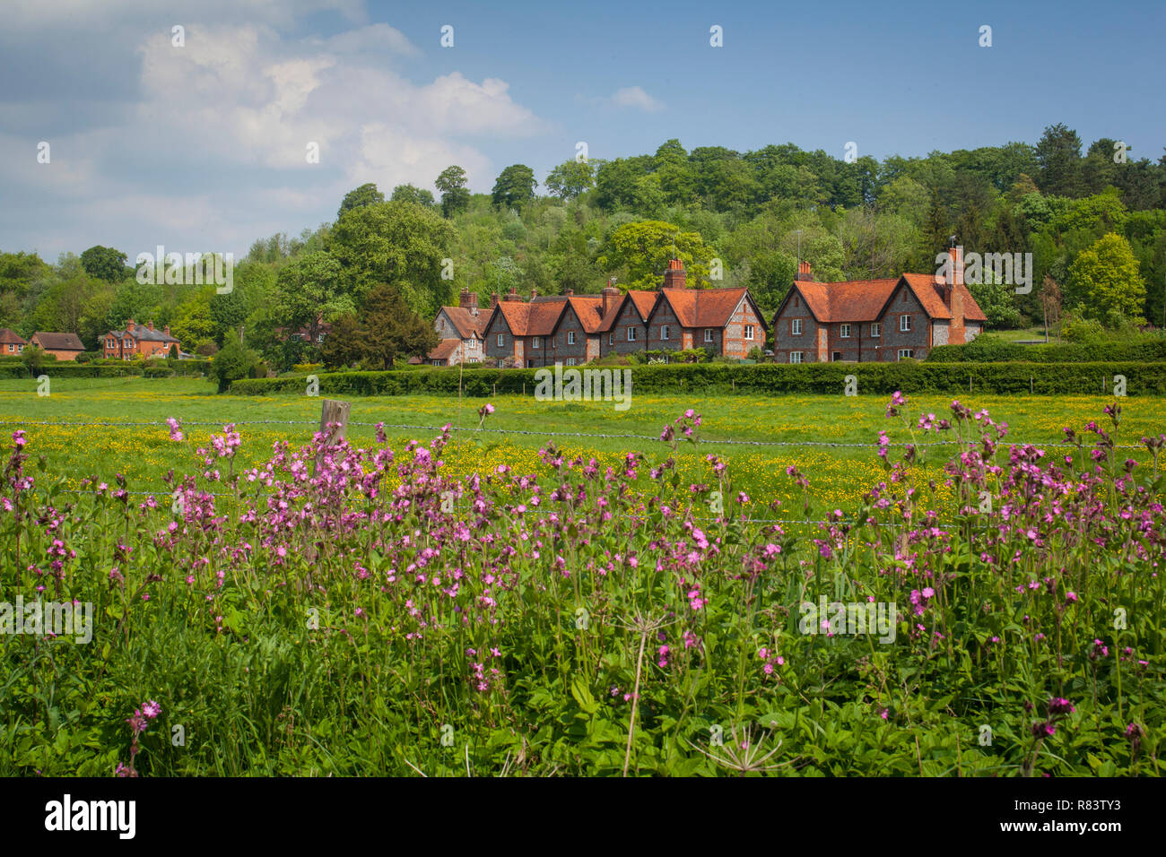 Traditional brick and flint cottages at Hambleden, Buckinghamshire with pink wild flowers in the foreground Stock Photo