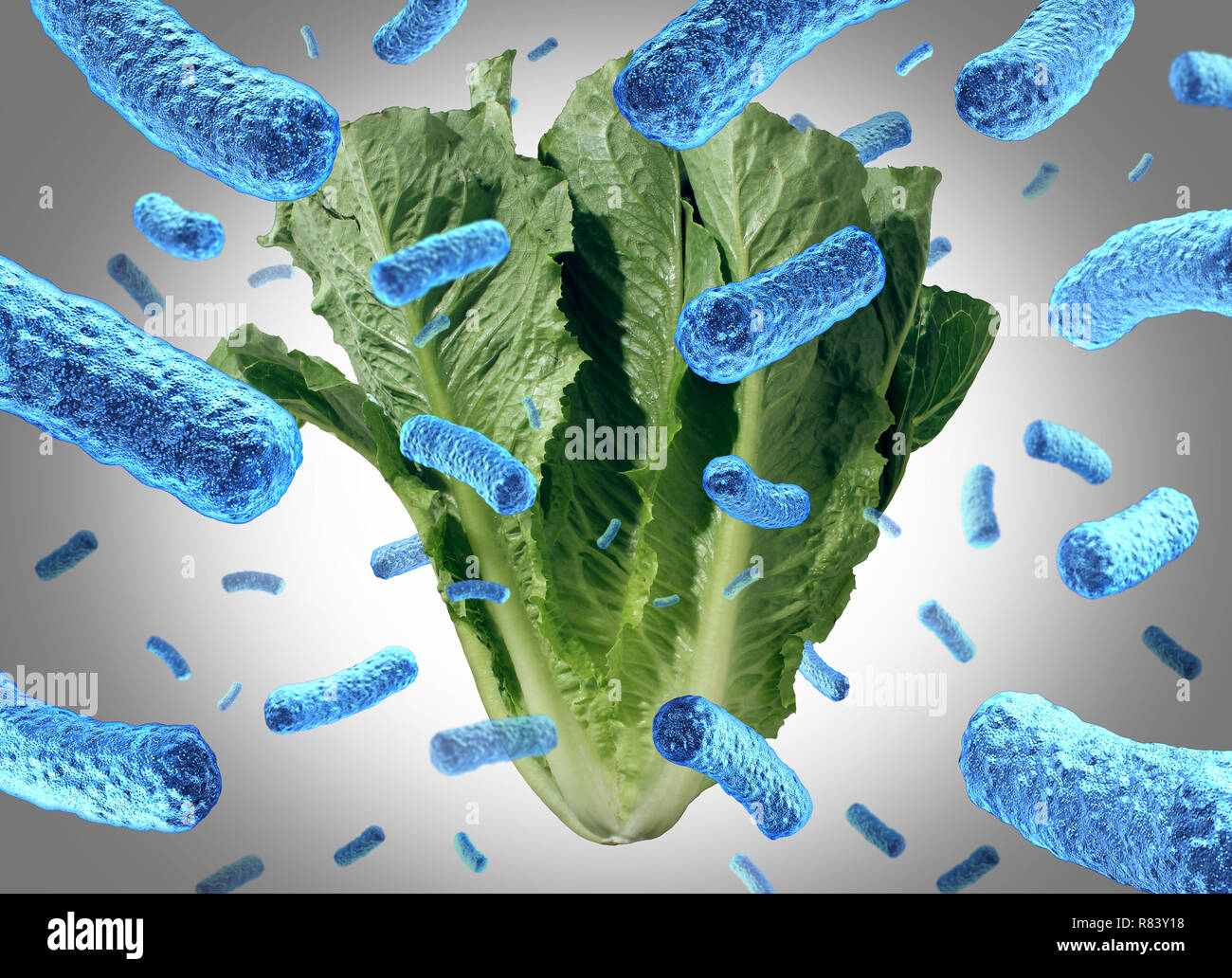 Romaine lettuce e coli outbreak food poisoning as a vegetable contamination or bacteria public health risk in a salad with 3D illustration elements. Stock Photo